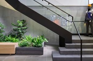 240819_73_STAIRS+PLANTERAREA_@jesseliaw