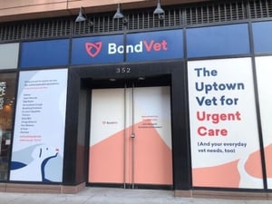 3F611564-EEE7-4879-85FA-7D85187E1734-e1580028426720